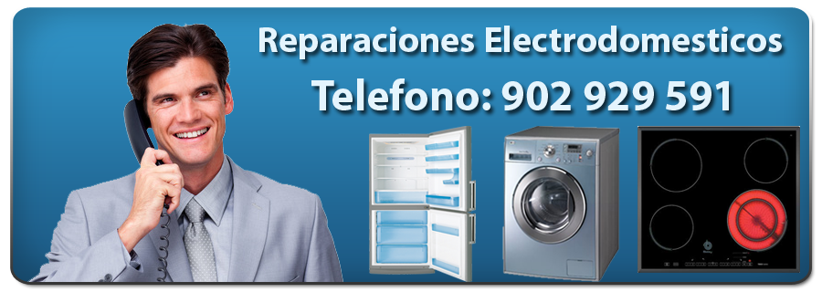 Servicio Tecnico Calderas Immergas en Valencia. Reparacion Calderas Immergas Valencia